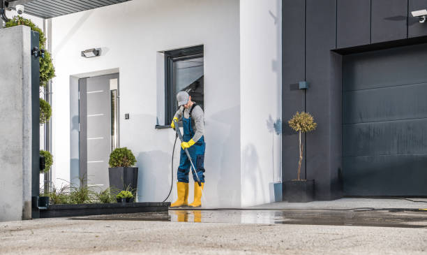 Best Pool Deck Cleaning  in Agua Dulce, CA